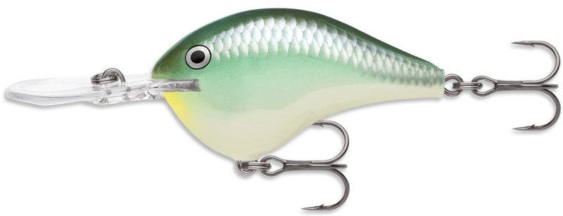 Rapala DT10 FT Dies-A, Esca Crankbait In Balsa, Profondità 3m - Affonda Veloce E Cattura Di Più - 4
