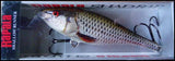 RAPALA SHALLOW SHAD RAP SSR 9 CM ROL (LIVE ROACH) COLOUR
