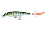 RARE RAPALA X RAP XR 10 cm MD (Muddler) color