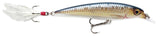 RARE RAPALA X RAP XR 8 cm SPECIAL SKL (Live Sucker) color
