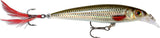 RAPALA X RAP XR 10 cm ROL (Live Roach) color