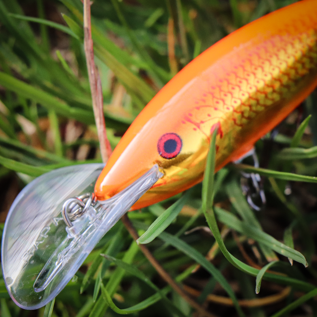 Fishing with the Rapala Scatter Rap Tail Dancer 9 cm: Controlled Chaos ...