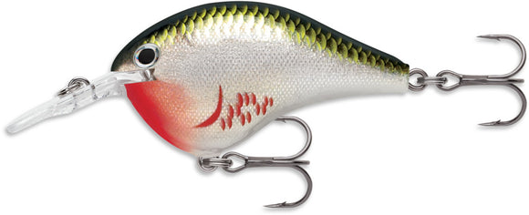 RAPALA DIVES TO 6 Ft DT6 BOS (Bleeding) color