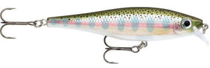 RAPALA BX MINNOW BXJM 10 RT (Rainbow Trout) color