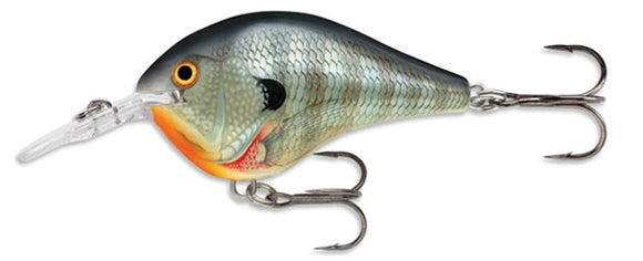 RAPALA DIVES TO 6 Ft DT6 BG (Bluegill) color