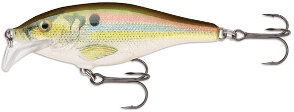 RAPALA SCATTER RAP SHAD SCRS 7 cm RSL (Live River Shad) color