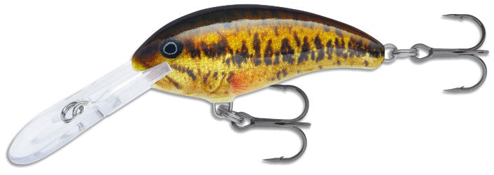 Leurre Rapala Shad Rap 05 – SR05-SBL, Bronze, Plongeon 11 Ft, Pour Achigan/bar