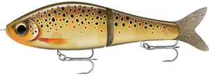 RAPALA SUPER SHADOW RAP GLIDE SSDRG 11 cm TRL (Live Trout) color - pike and muskie killer!