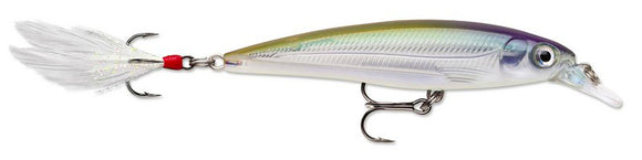 RAPALA X RAP XR 10 cm CRSLSD (Crystal Shad) color