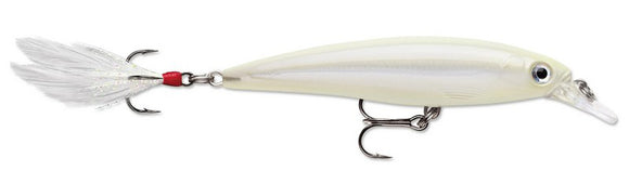 RAPALA X RAP XR 10 cm SNST (Snow Storm) color