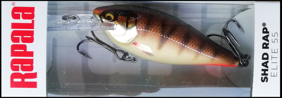 RAPALA SHAD RAP ELITE SRE 55 5,5 cm GDCP (Gilded Copper Perch)