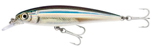 RAPALA X RAP SALTWATER SXR 10 cm ANC (Anchovy) color