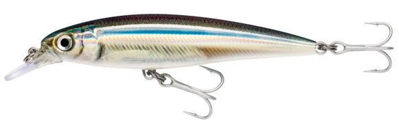 RAPALA X RAP SALTWATER SXR 10 cm ANC (Anchovy) color