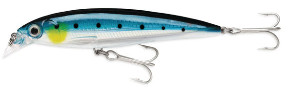 RAPALA X RAP SALTWATER SXR 12 cm BSRD (Blue Sardine) color