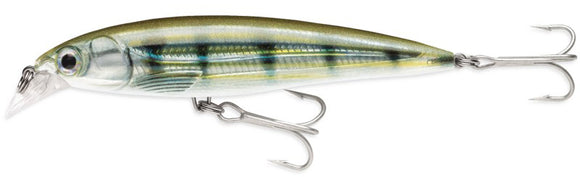 RAPALA X RAP SALTWATER SXR 10 cm PF (Pinfish) color