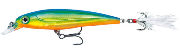 RAPALA X RAP XR 10 cm PRT (Parrot) color