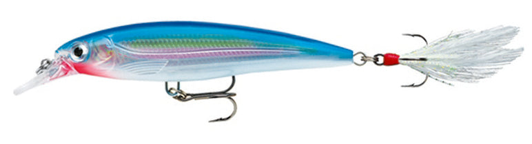RAPALA X RAP XR 10 cm SB (Silver Blue) color – Darkagelures