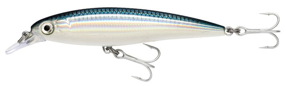 RAPALA X RAP SALTWATER SXR 10 cm BFH (Baitfish) color