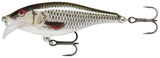 RARE RAPALA SCATTER RAP SHAD SCRS 7 cm ROL (Live Roach) color