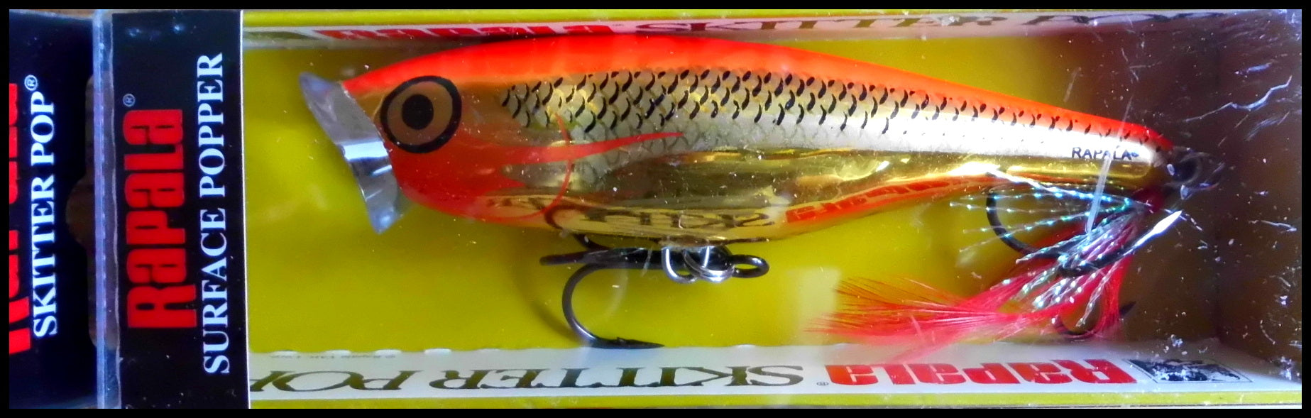 The Sebarau cannot resist the new Skitter Pop Elite 95 especially in the  Toman colour. #rapala #rapalalures #lure #fishing #memancing
