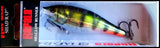 RAPALA SHALLOW SHAD RAP SSR 7 cm PEHL (Live hologram Perch) color