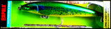 RARE RAPALA SALTWATER X RAP LONG CAST SHALLOW SXRLS 12 cm SPECIAL HDD color